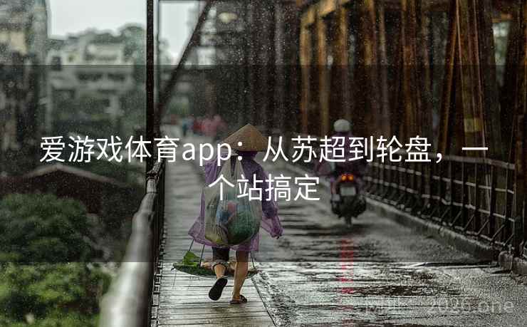 爱游戏体育app:从苏超到轮盘,一个站搞定 第2张 爱游戏体育app:从苏超到轮盘,一个站搞定 第2张