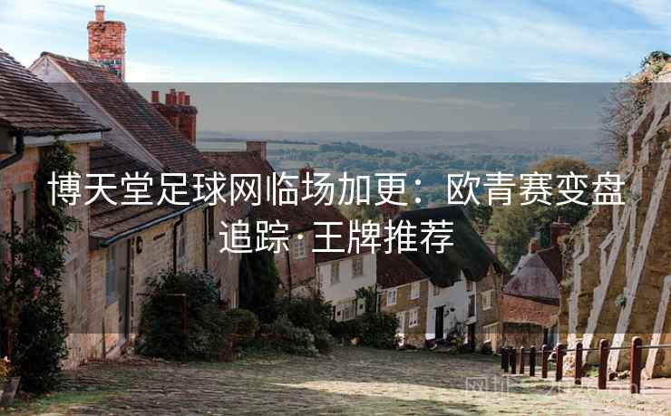 博天堂足球网临场加更:欧青赛变盘追踪·王牌推荐 第2张 博天堂足球网临场加更:欧青赛变盘追踪·王牌推荐 第2张