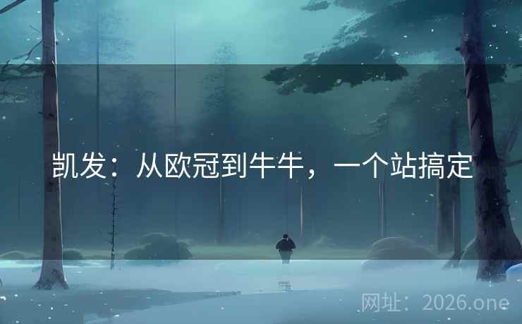 凯发:从欧冠到牛牛,一个站搞定 第1张 凯发:从欧冠到牛牛,一个站搞定 第1张