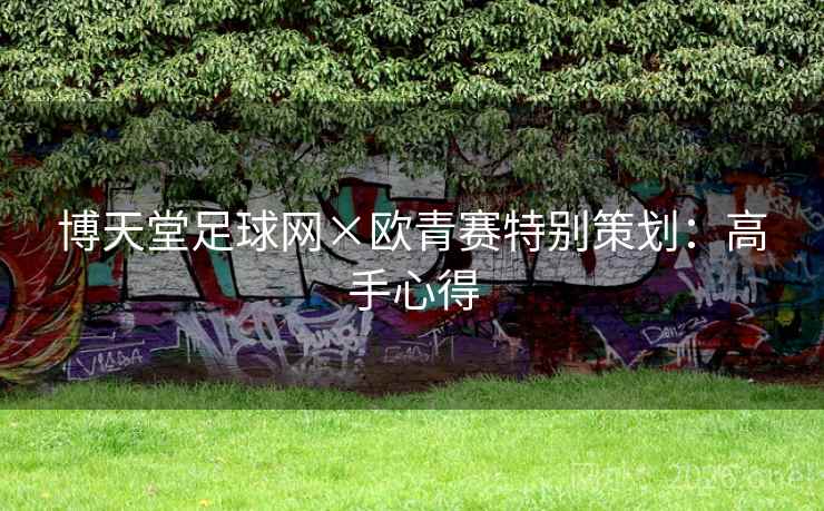 博天堂足球网×欧青赛特别策划:高手心得 第2张 博天堂足球网×欧青赛特别策划:高手心得 第2张